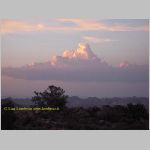 20060812_JoshuaYuccaTree_043 copia.jpg